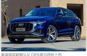 奥迪suv30万左右(三十万的奥迪suv)
