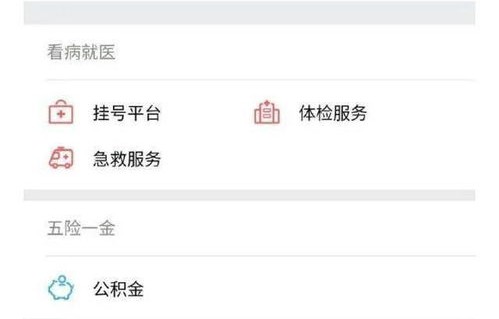 查询违章最快的方法(查询违章记录如何查询)