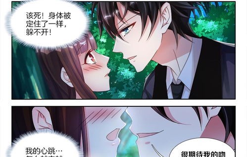 江总别虐，时小姐的逃离之谜