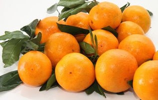 橘子的白丝能否化痰止咳？科学角度的解析