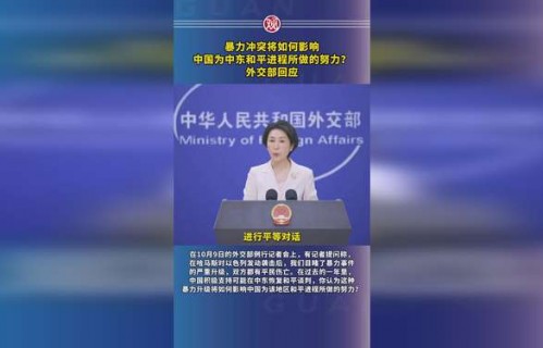 中方对中东暴力冲突提出四个必须,维护和平稳定的重要举措