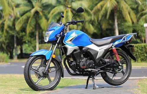 五羊本田150最新款(五羊本田150最新款 车型)