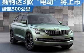 大众斯柯达汽车之家(大众斯柯达2021款价格)