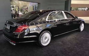 迈巴赫车的价格和图片(迈巴赫车的价格和图片600)