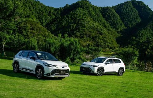 逍客缺点太多了(逍客好还是锋兰达车好)