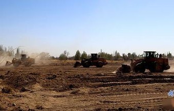 短剧种地致富之路,从农田到首富的87集传奇