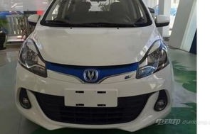 奔奔电动汽车价格及图片(奔奔纯电动汽车价格及图片)