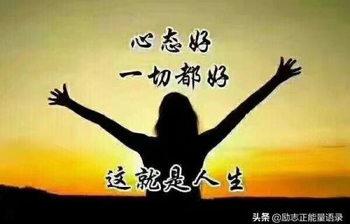 短剧傅总放手吧的深度解读