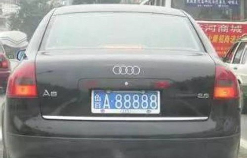 输入车牌号一键查违章非本人(输入车牌号一键查违章非本人晋A51BQ1)