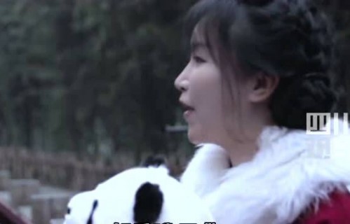 李子柒亮相强国熊猫周宣传视频，传递文化魅力