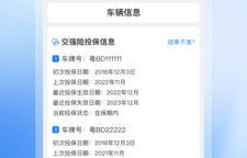 车辆信息查询系统官网(车辆信息查询系统官网查询)