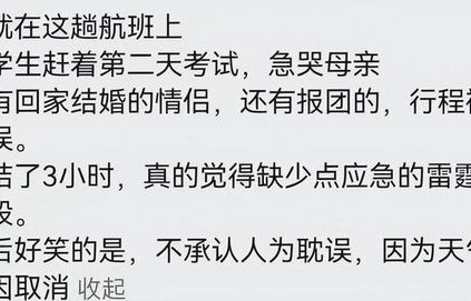 短剧首辅大人他悔不当初，长篇人生反思