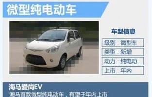 汽车价格表(比亚迪纯电动汽车价格表)