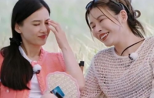 张泉灵的再见,从再见爱人到4受害者的深度解读