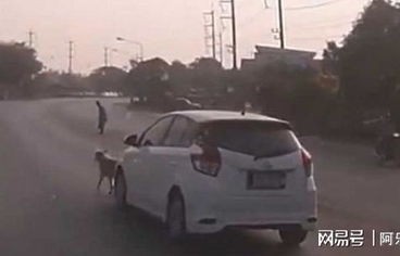 男子马路中间多次肉身拦车，危险行为背后的深思