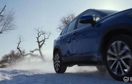 卡罗拉锐放(卡罗拉锐放口碑质量怎么样)