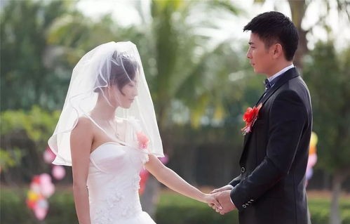 新婚之夜，我唤醒植物人老婆的88集短剧