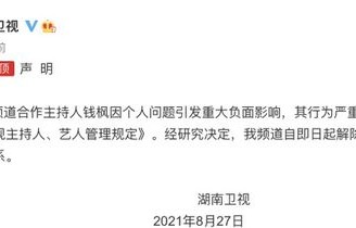 湖南卫视声明，媒体责任与公众信任的坚守