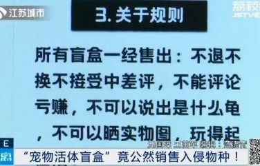 四川自贡观测到恶性外来入侵物种，生态威胁与应对策略