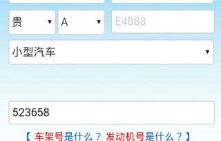 手机免费查违章查询(手机怎么免费查违章)