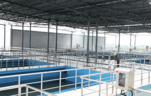 上海市民注意，提前准备，囤水囤粮，以应对可能的不便