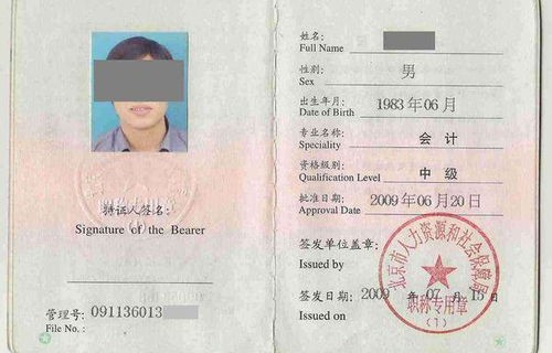 中学生获正高职称，信息背后的深度解析