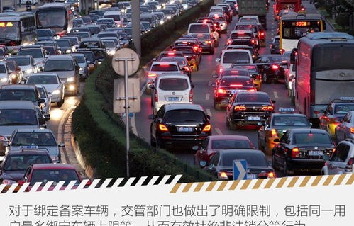 非本人车辆违章查询(非本人车辆违章查询直接输入车牌号)