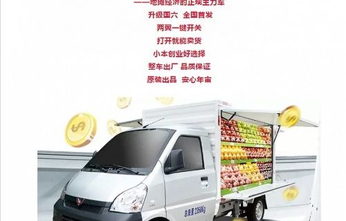 拉货最实用的面包车(拉货用面包车哪款经济实惠)