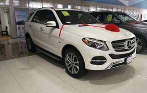 奔驰油电混合车型有哪些(建议别买油电混合动力车)