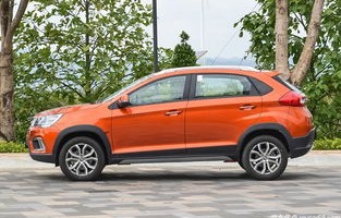 瑞虎3x(瑞虎3x保养的小扳手怎么清除)