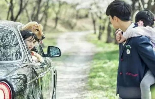 灵魂互换之短剧虐恋，当男女主角的命运交织