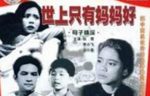 短剧世上只有妈妈好——87集的母爱传奇