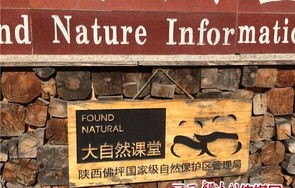 探寻人字的演变历程