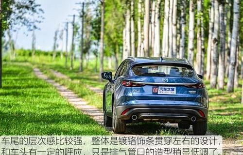 20万左右车推荐(20万左右车推荐一下)