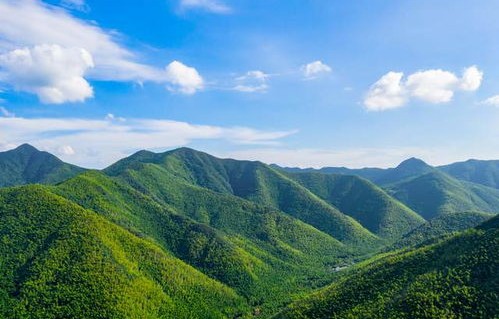 哀牢山，自然之魅与人文之韵的景区之旅