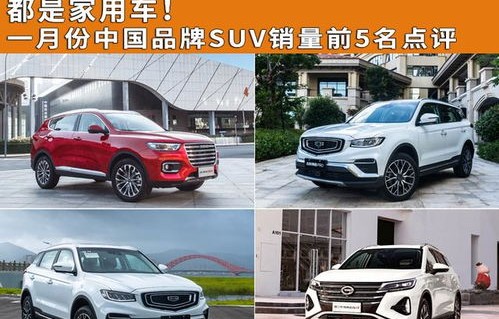 最新款汽车suv车型(最新suv车型2020款)
