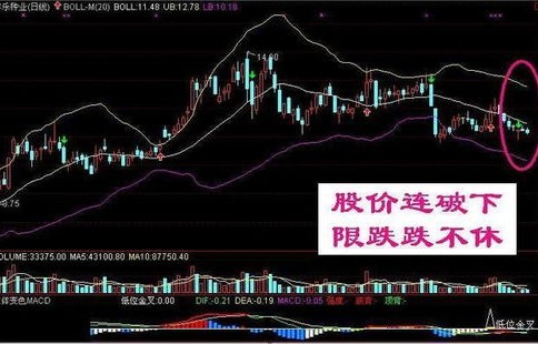 炒股之选，为何炒股而非煎、煮、蒸、炖股？