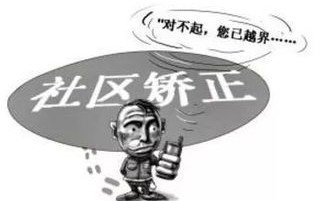 中方敦促土耳其，立即纠正错误做法的深度分析与呼吁