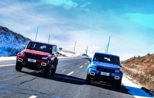 北京牌越野车图片及价格(北京牌越野车怎么样呢)