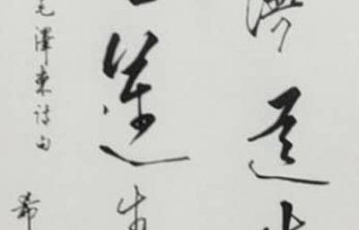 短剧贤妻扶我凌云志——共赏71集的精彩人生