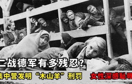 中国人在德国冒充女性犯下四起强奸案，深入剖析与反思