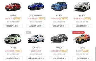 新能源汽车前十名品牌(国产新能源汽车前十名品牌)