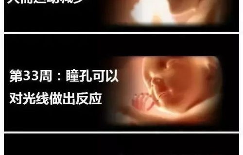 九胎之母的艰辛,最后两胎的遗憾与坚强