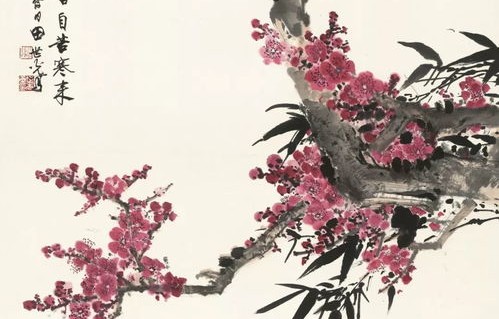 梅花香自苦寒来，一部64集短剧的深度解读