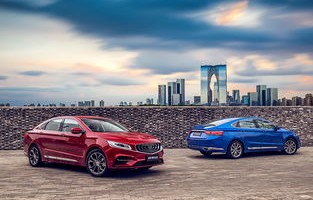 新能源车试驾(新能源车试驾感汇总)