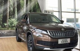 斯柯达的车子质量怎么样(斯柯达的车子质量怎么样值得买吗)