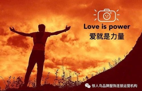 短剧仁者无敌——80集的仁爱之旅