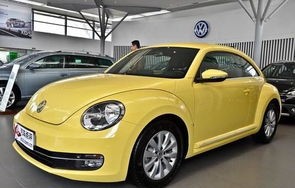 大众甲壳虫图片(大众甲壳虫图片大黄蜂)