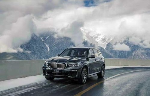 宝马x5国产预计售价上市时间(宝马x5国产后预计价格)