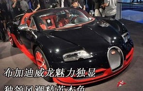 布加迪威龙汽车报价(布加迪威龙汽车报价图片)